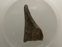 -深圳博物馆(古代艺术馆)