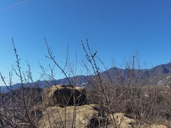 -白水寺森林公园
