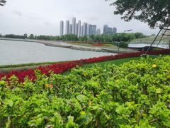 -深圳湾公园(南山区)