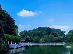 -广州市帽峰山景区