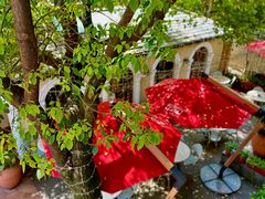 -玫瑰厅上海菜(兴国路店)