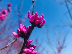 -天台山赤城山景区