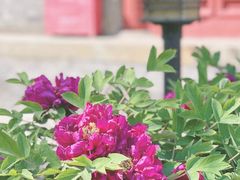 -大钟寺古钟博物馆