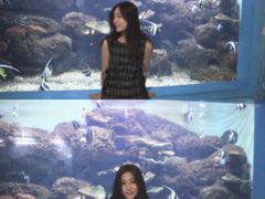 -蓬莱欧乐堡海洋极地世界