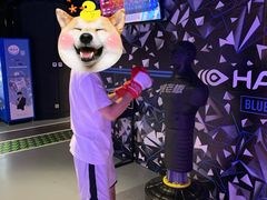 -VS SPORTS PARK运动玩乐园·团建·生日会(合生汇店)