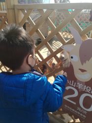 -萌宠亲子动物乐园(槐房万达店)