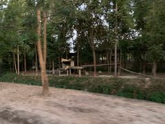 -清迈夜间动物园