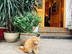 -懒鱼时光馆(沙坪坝店)