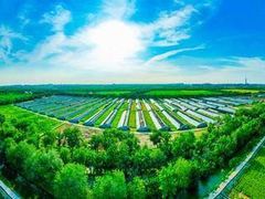 -祥源·阜阳生态乐园