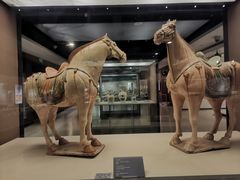 -西安大唐西市博物馆