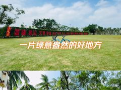 -万绿园