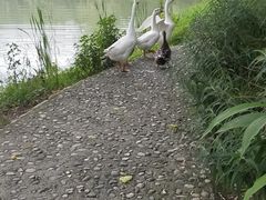 -成都中医药大学(温江校区)