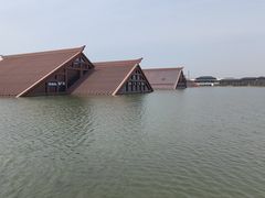 -广富林郊野公园