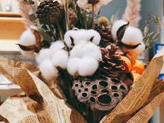 -猫的天空之城概念书店(印象城购物中心店)