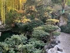 -金春禧(英雄山路旗舰店)