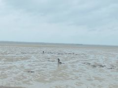 -北海金海湾红树林生态旅游区