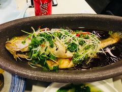 -渔娘渔家丹东海鲜(东直门店)