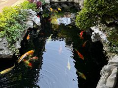 -金海华·华宴江南(斜塘店)