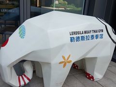 -花环泰拳·勒德斯拉泰拳馆(静安店)