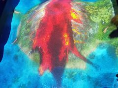 -珠海横琴国家地理探险家中心(创新方)