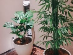 -灸春堂·艾灸·痛症·整脊连锁(之江银泰店)