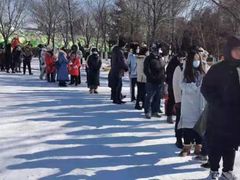 -沈阳奥体冰雪嘉年华