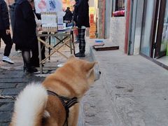 -暖泉古镇