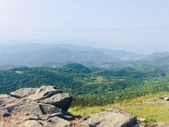 -大姆山草场