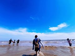 -南汇嘴观海公园