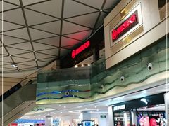 -海底捞火锅(龙岗星河COCO Park店)