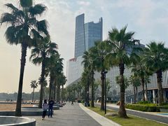 -金沙湖公园