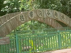 -西双版纳原始森林公园