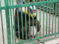 -秦皇岛野生动物园