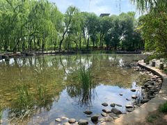 -玲珑塔公园