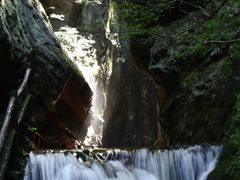 -牛背梁国家森林公园