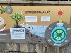 -深圳湾公园(南山区)