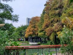 -四海公园(南山区)