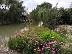 -同里国家湿地公园