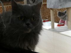 -欧亚汇集(飞跃路店)