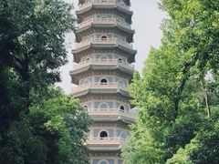 -紫金山山顶公园