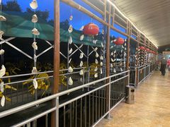 -崖口红树林海鲜餐厅