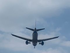 -空港花田景区