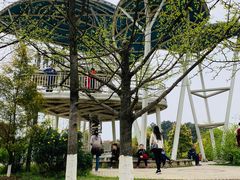 -铁山坪森林公园