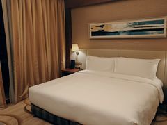 -上海浦东康桥绿地假日酒店