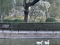 -团结湖公园