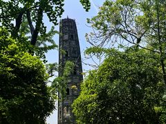 -上海佘山国家森林公园天马山园