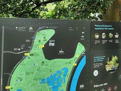-墨尔本皇家植物园
