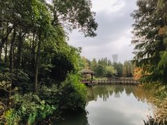 -上海滨江森林公园