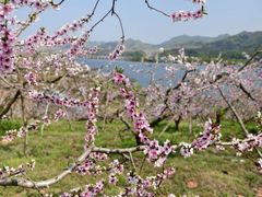 -河口景区
