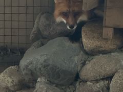 -河北村民俗体验园